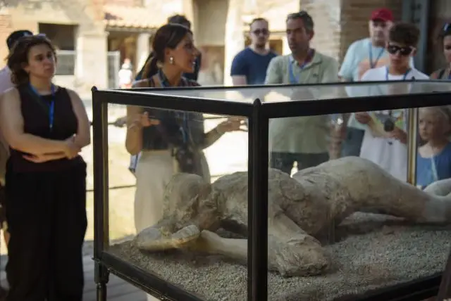 נאפולי הר געש וזוב איך מגיעים? credit to getyourguide.com