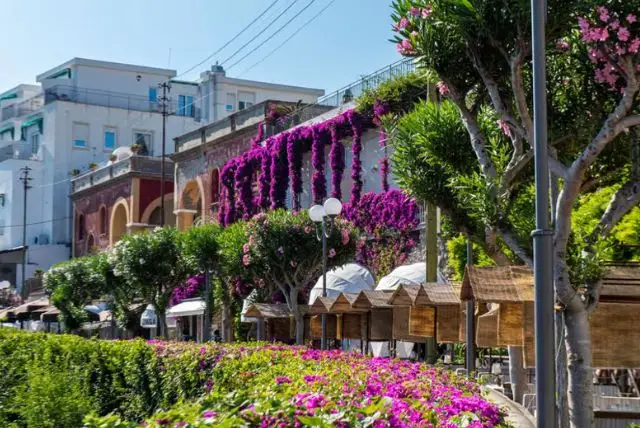 האי קאפרי (Capri Island) credit to getyourguide.com