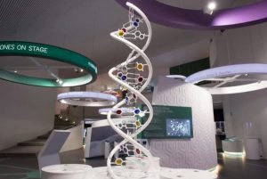 מוזיאון מדע אינטראקטיבי בנאפולי - מוזיאון צ'יטה דלה שנזה (Città della Scienza) credit to getyourguide.com