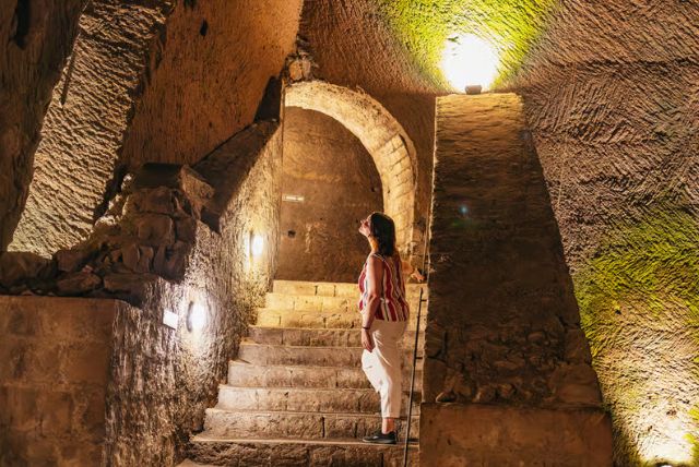 סיור מודרך במנהרת בורבון כולל כרטיסי כניסה credit to getyourguide.com