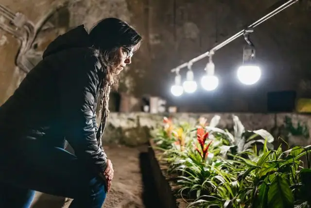 נאפולי התת קרקעית כל מה שחשוב לדעת credit to getyourguide.com