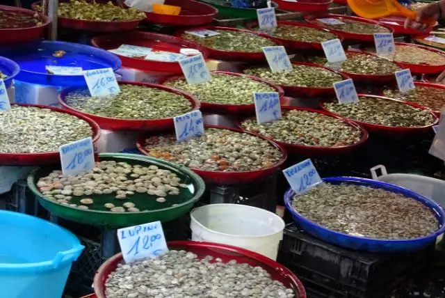 שוק Mercato di Pignasecca - השוק העתיק ביותר של נאפולי