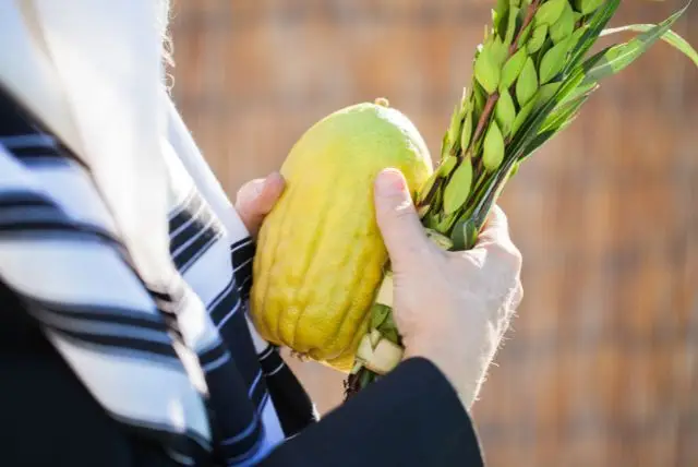 בסוכות - נאפולי בסוכות: תקופה נוחה לטיול בעיר ובאזור קמפניה